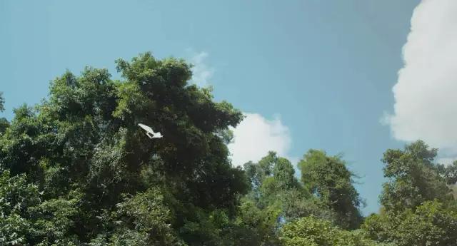 有什么关于成长但又不腻歪的青春电影推荐(关于青春期的电视剧电影)