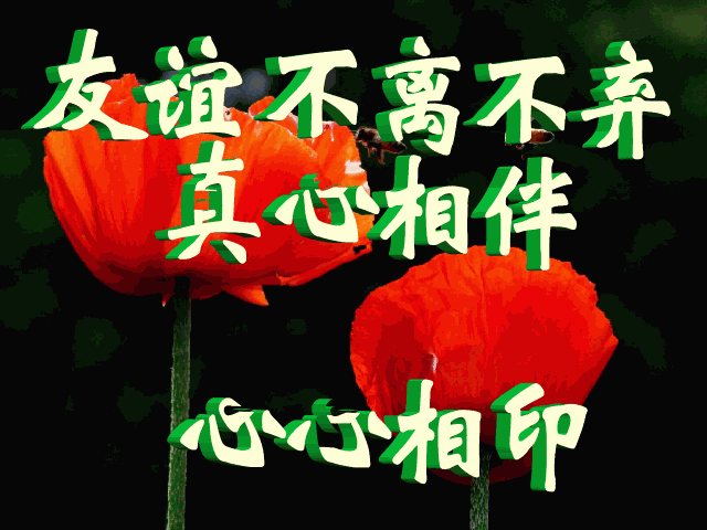 挽回女朋友应该唱的歌:女朋友和别人在全民K歌上每天深夜都合唱情歌正常吗