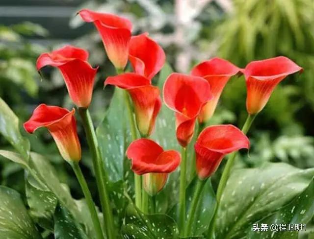 挽回女朋友应该唱的歌:女朋友和别人在全民K歌上每天深夜都合唱情歌正常吗