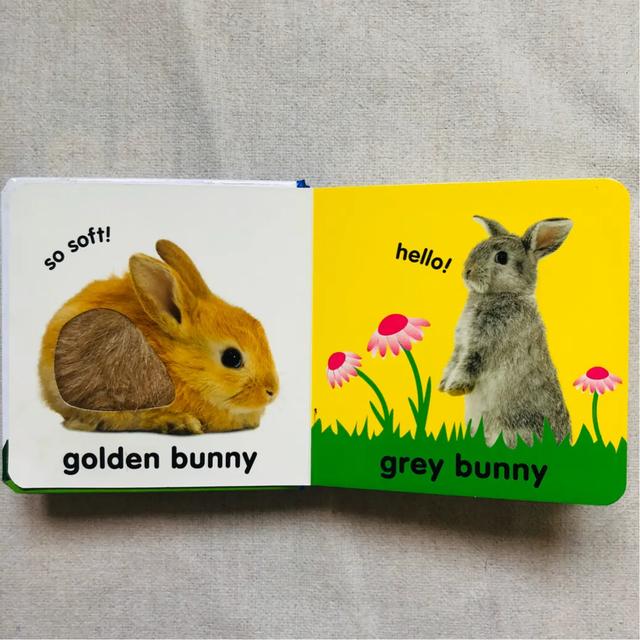 如何为幼儿园的小朋友选择英文绘本