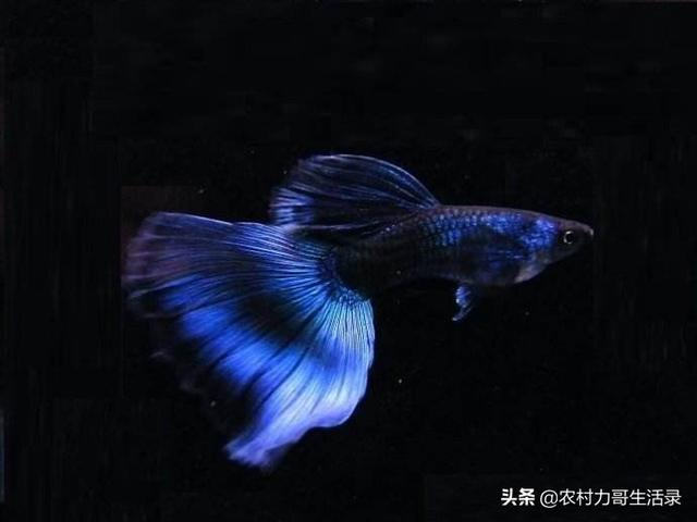幼儿园里儿童的姓名标签是怎么做的水杯上的姓名标签怎么打(幼儿园姓名标签打印模板)