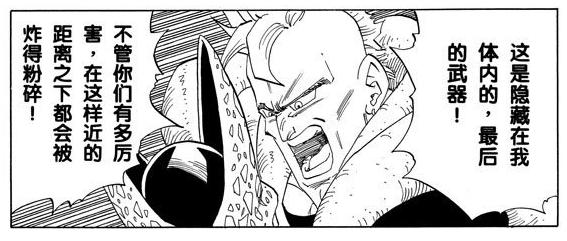 你认为《龙珠》有什么败笔