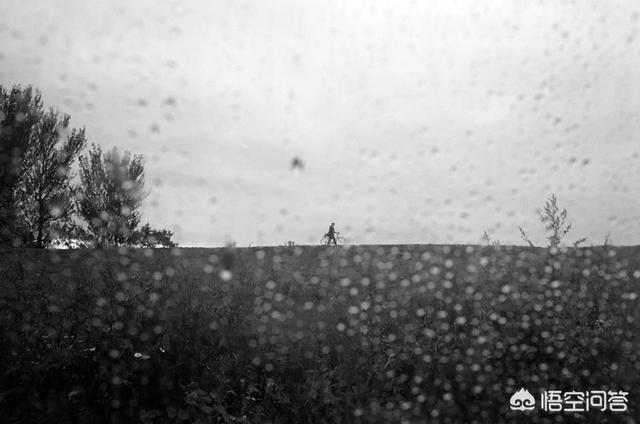 下雨的味道究竟是什么的味道(下雨的味道是什么菌)