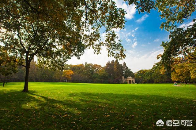 贵州十一月七日旅游穿什么衣服好呢