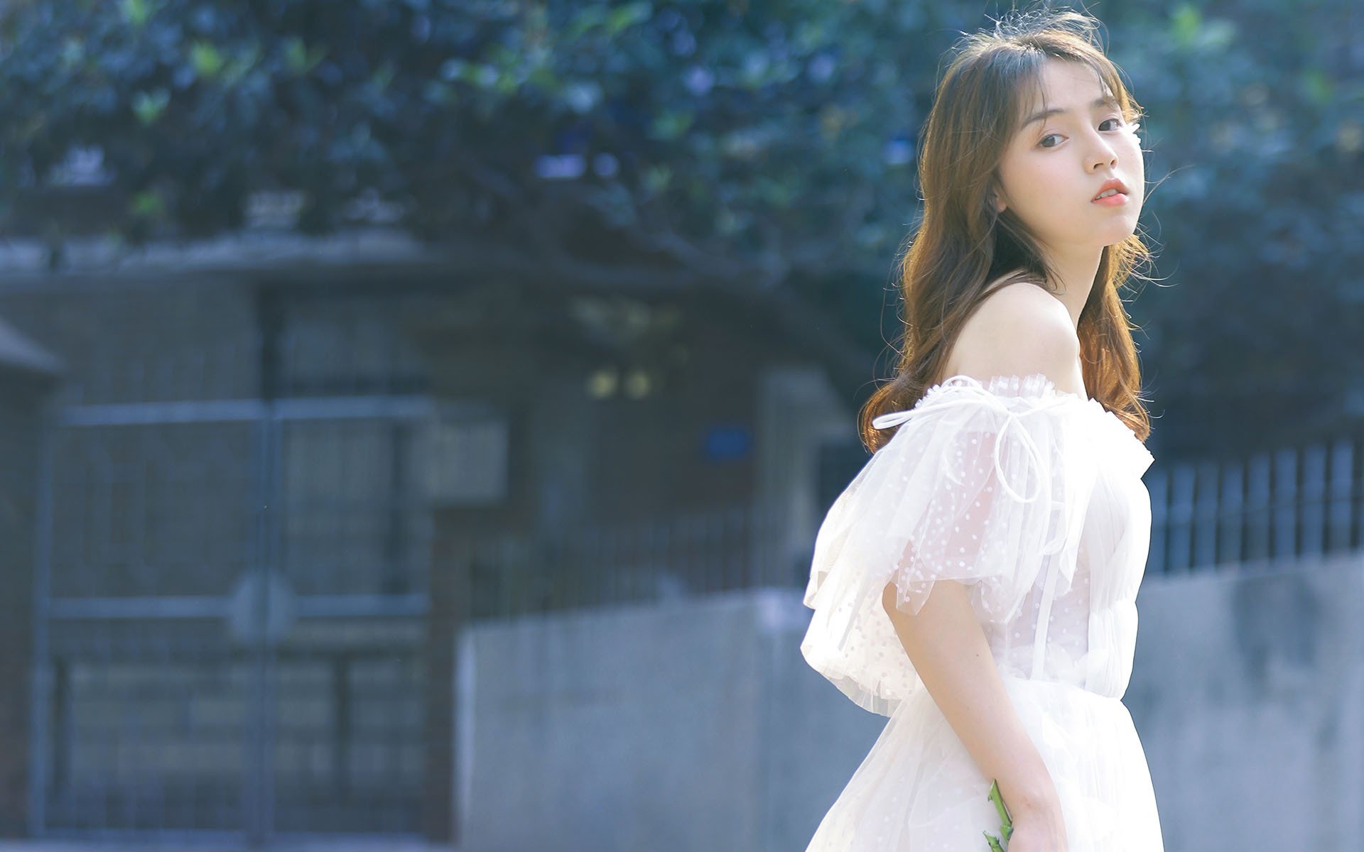 峰峰矿区几家幼儿园,以及各幼儿园的收费标准