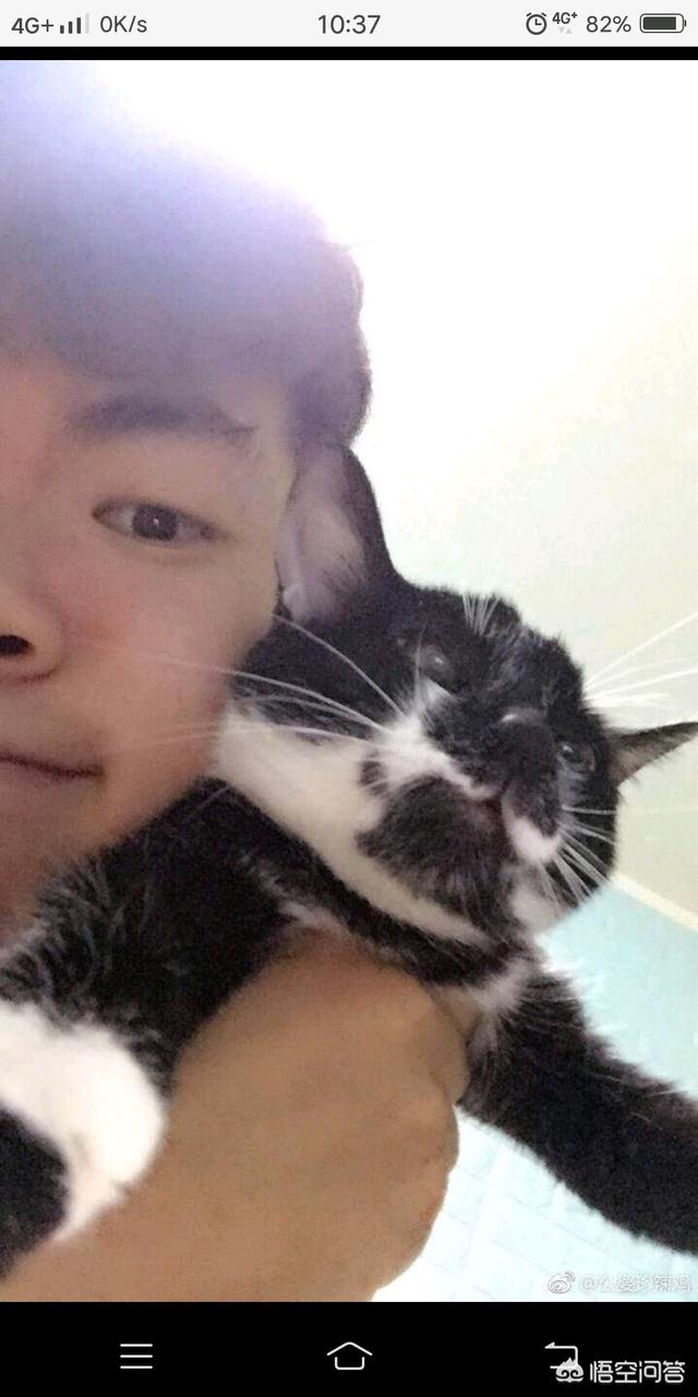 关于挽回 泡学网:分手后你是怎么熬过分手的第一个夜晚