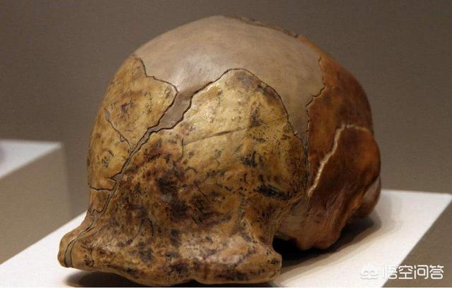 假如现在小学开学,学校突发确诊病例,整所学校师生都要被隔离吗