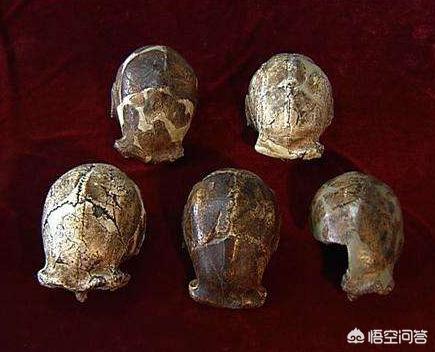 假如现在小学开学,学校突发确诊病例,整所学校师生都要被隔离吗