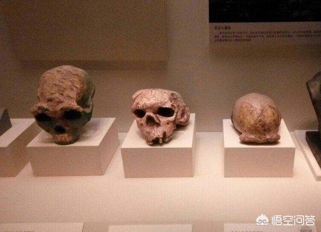 假如现在小学开学,学校突发确诊病例,整所学校师生都要被隔离吗