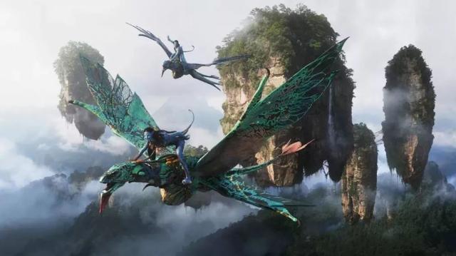 有哪些电影你感觉不太好看,却被公认为“好片”