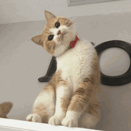 关晓彤和张嘉倪侧颜对决，被摁在地上摩擦啊…(欧阳娜娜侧颜)