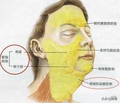 关晓彤和张嘉倪侧颜对决，被摁在地上摩擦啊…(欧阳娜娜侧颜)