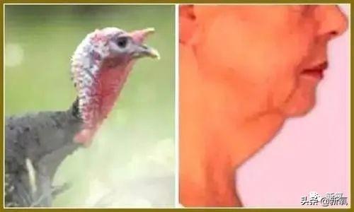 关晓彤和张嘉倪侧颜对决，被摁在地上摩擦啊…(欧阳娜娜侧颜)