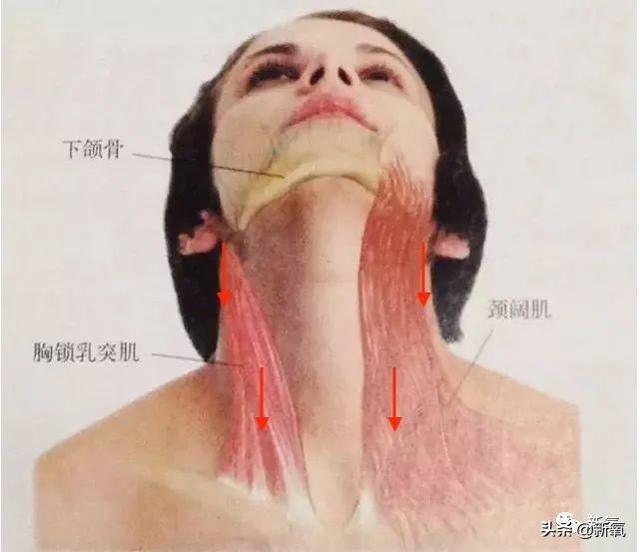 关晓彤和张嘉倪侧颜对决，被摁在地上摩擦啊…(欧阳娜娜侧颜)