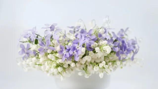 失去朋友该挽回:身处低谷期所有的朋友都失去了该怎么办