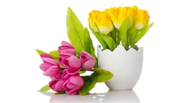 失去朋友该挽回:身处低谷期所有的朋友都失去了该怎么办