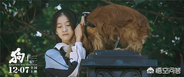 尘封5年终于上映，《狗十三》到底是一部什么样的电影(狗十三电影简介)