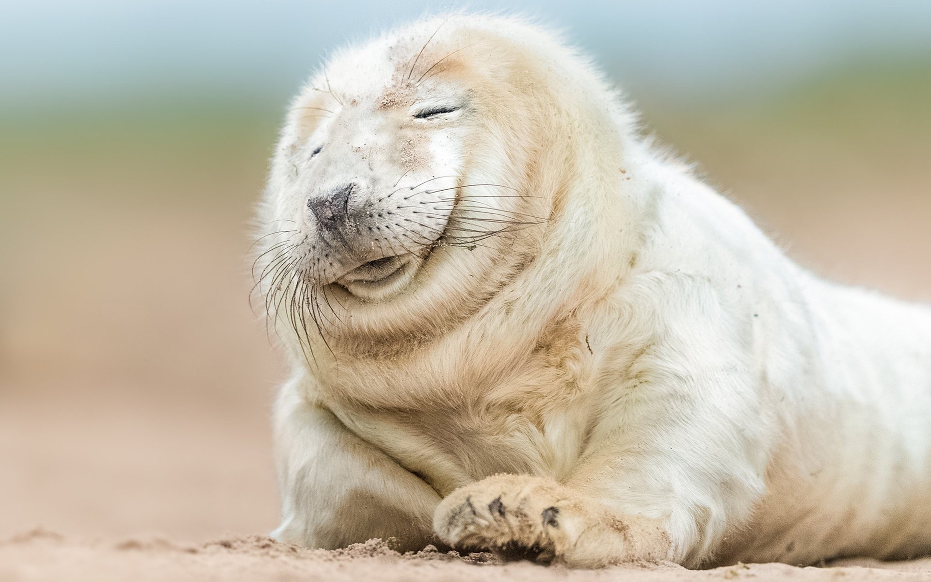 男友有了新欢挽回系列:男友有了新欢，我该如何挽回他