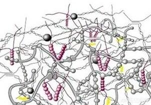 维生素E真的能缓解肌肤干燥,延缓皮肤衰老吗有什么科学依据