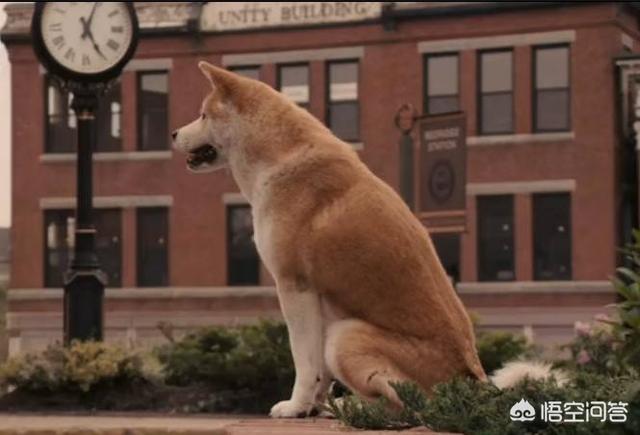 有人看过韩国电影《七号房的礼物》吗刚才看了短片都看到我崩溃