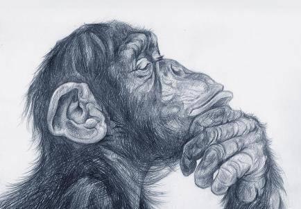 形象还能挽回吗:相亲认识的男生有两个月了,突然说不合适,还能挽回吗