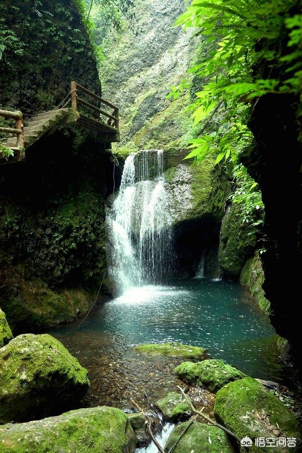 百莲凯美容养生会所,你们喜欢设计一个怎样的乡村民宿