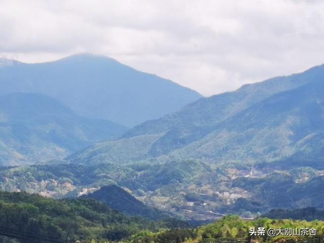 百莲凯美容养生会所,你们喜欢设计一个怎样的乡村民宿