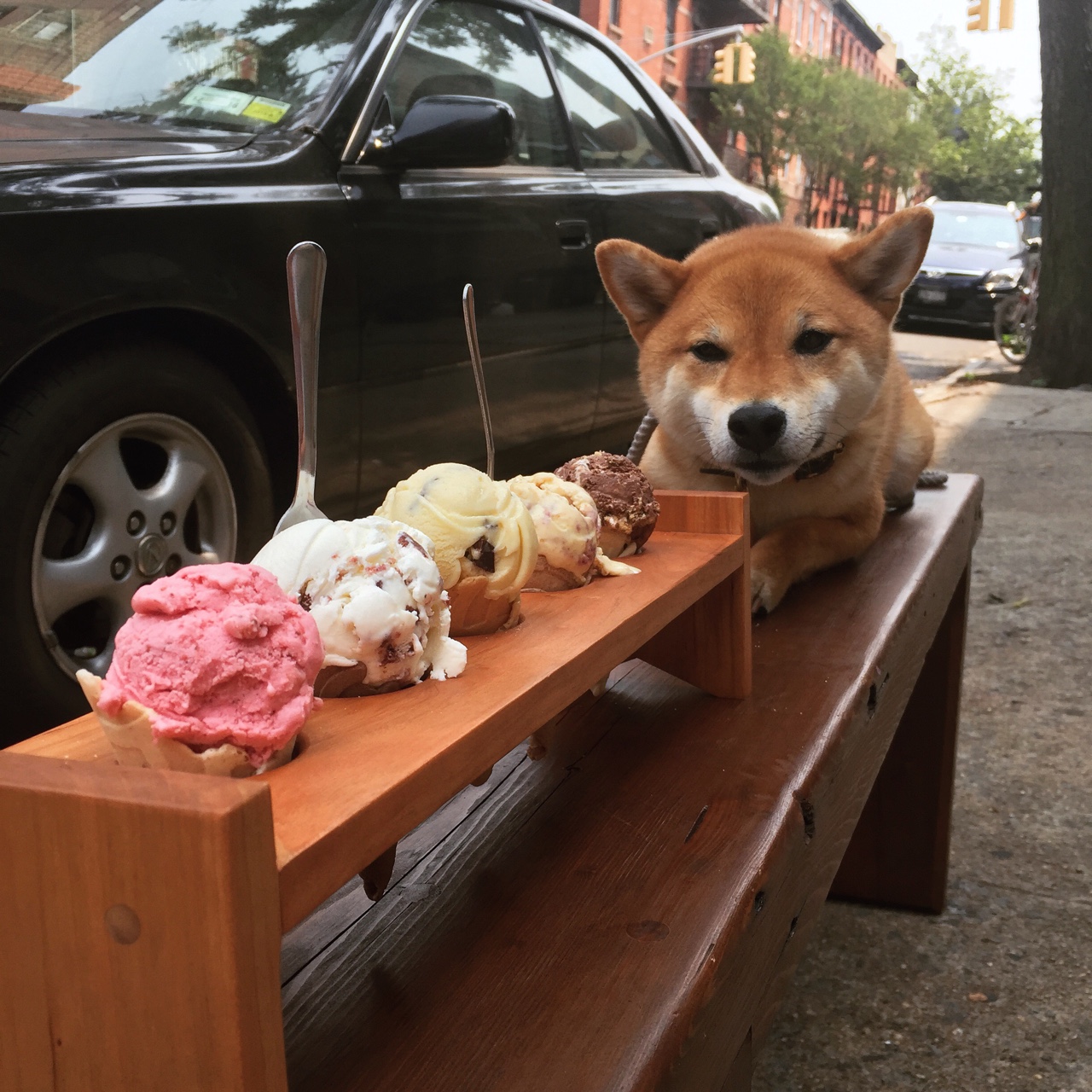 法国三色电影指的哪三部啊