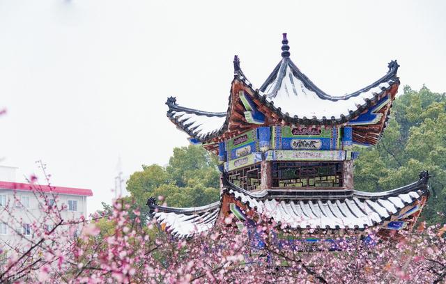 请问一下户口是孝感的,小孩能在武汉上小学吗