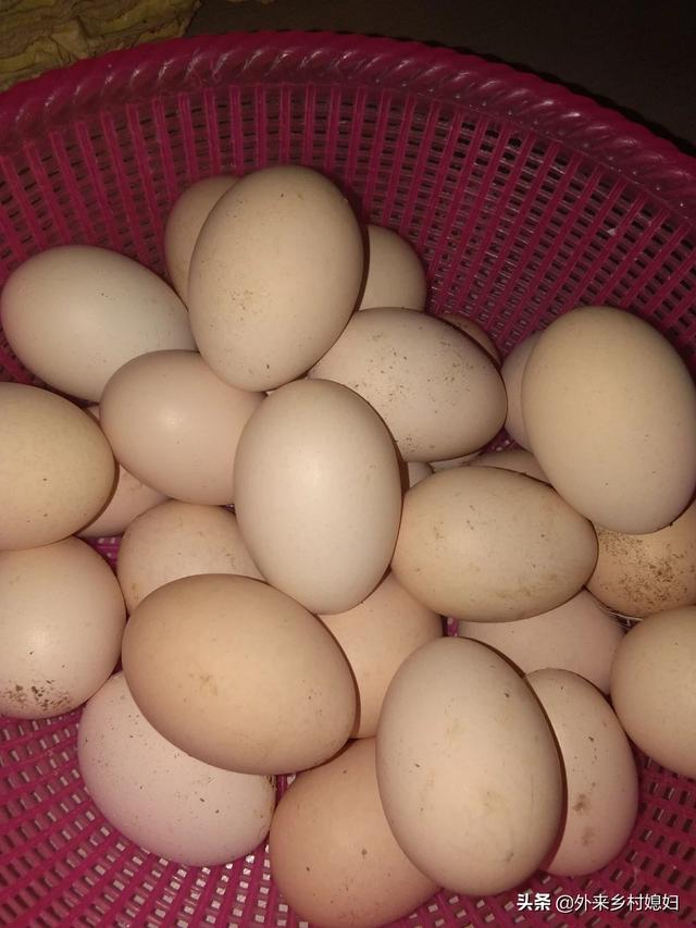 养生汤中药配方图片,养鸡中草药配方有哪些怎样才能减少养鸡喂药的成本