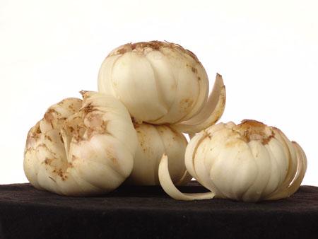 秋天养生项目,立秋后,养生“素四宝”是指哪些