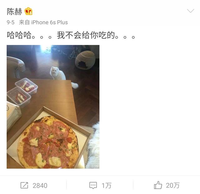 明星饮食养生秘诀,你怎么看待一些明星的奇葩减肥法呢