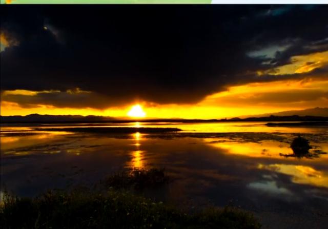 三十多岁才感觉人生一世毫无意义,还不如猴子轻松自在,您觉得呢