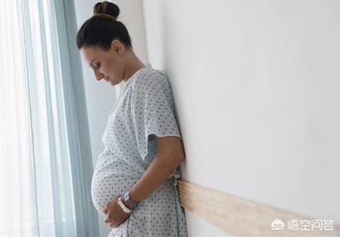 养生堂女性经期同步,“月经”现象是否只存在于人类之中