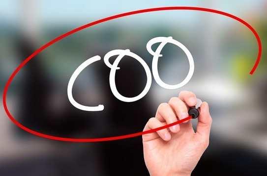 运营总监和营销总监有什么区别