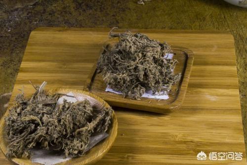 春季经络养生短信,春天湿气太重，应该如何调理