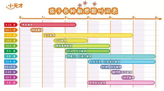 幼儿阶段是学习语言的最佳时机吗